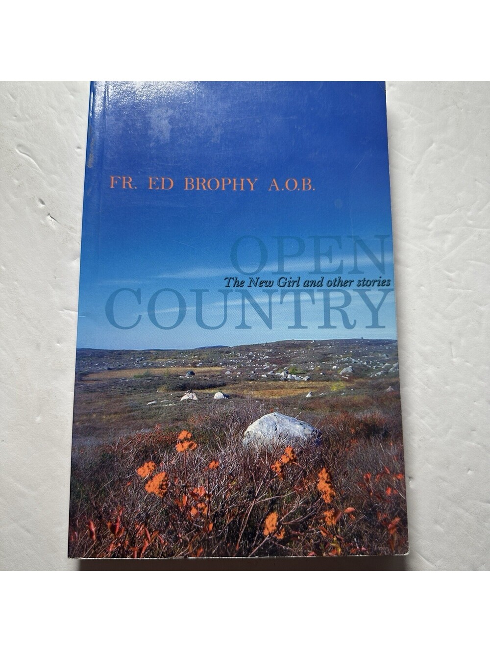 Open Country Ed Brophy SIGNED Newfoundland Labrador Stories 2004 Flanker